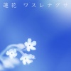蓮花 - ワスレナグサ