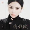 张晓棠 - 情难渡