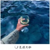 法迪 - Somebody That I Used to Know