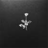 Lotte Kestner - Somebody