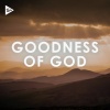 Chris Tomlin - Good Good Father