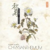 杨春林、群星 - 东篱秋色~野菊