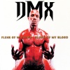 DMX - My N*****