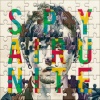 SPYAIR - iris