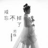 刘佳jia - 戒不了忘不掉