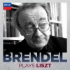 Alfred Brendel - Nuages gris, S.199