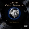 Arthur Rubinstein - Waltz No. 1 in E-Flat Major, Op. 18