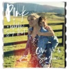 P!NK、Willow Sage Hart - Cover Me In Sunshine