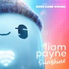 Liam Payne - Sunshine (From the Motion Picture 