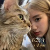 GRBZCY、Grazi - Somebody That I Used To Know (Remix)