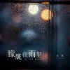 大笨 - 朦胧夜雨里