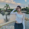 清风姐 - 调查中 (一颗狼星版)