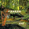 张宇桦 - 大自然歌唱 (竖琴版)