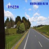 刘清池 - 安平追想曲