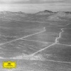 Balmorhea - Solanales