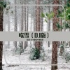 孙星晨、鹿瑶、DJ七七 - 吹雪 (DJ版)