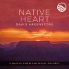 David Arkenstone - Gentle Storm
