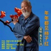 地瓜大叔 - 年年都见柿子红