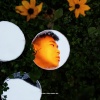 KnowKnow - 清空