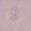 Project AER、v i v - Overwhelming
