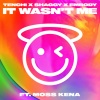 Tenchi、Shaggy、Embody、Moss Kena - It Wasn't Me