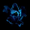 Chad Lawson - the color of the sky (sleep rework)