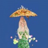 Palpit - Umbrella (新版)
