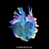 Sub Focus、AR/CO - Vibration (One More Time)