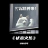 语音表哥 - 状态火热