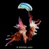 Sub Focus、Hayla - I Found You (Grafix Remix)