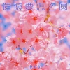 焦七七 - 遗憾要怎么圆