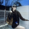 那年17 - Do Not Disturb