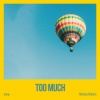 entoy、Nicholas Roberts - Too much