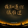 是钟意吕呀 - 我知道你很难过