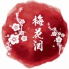 大师 - 梅花泪 (唯美钢琴版)