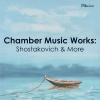 Alina Ibragimova、Steven Osborne - IV. Allegretto leggero e scherzando