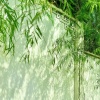 舒舒旋律 - 嗯又沟串烧
