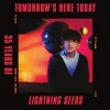 Lightning Seeds - Pure
