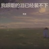贰叁 - 我眼眶的泪已经装不下