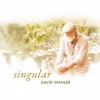 David Wahler - Singular