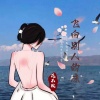 花不败 - 飞向别人的床