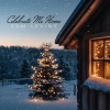 Sam Levine - Celebrate Me Home