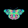 B2ue - Lotus Butterfly (忘忧蝶)