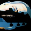 David Stockdale - Here Comes The Night
