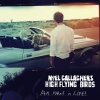 Noel Gallagher - AKA... What a Life