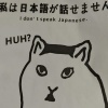 EDM大魔王 - 坏猫之歌 (小猫放屁导致全球变暖)