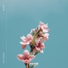 Toly Braun - Desire