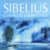 Adelaide Symphony Orchestra、Arvo Volmer - Sibelius: Symphony No.1 In E Minor, Op.39 - 1. Andante, ma non troppo - Allegro energico