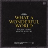 Booker T. Jones With Jolie Holland - What A Wonderful World