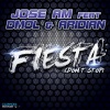 Dmol、Aridian、Jose AM (何塞AM) - Fiesta (Radio Edit)